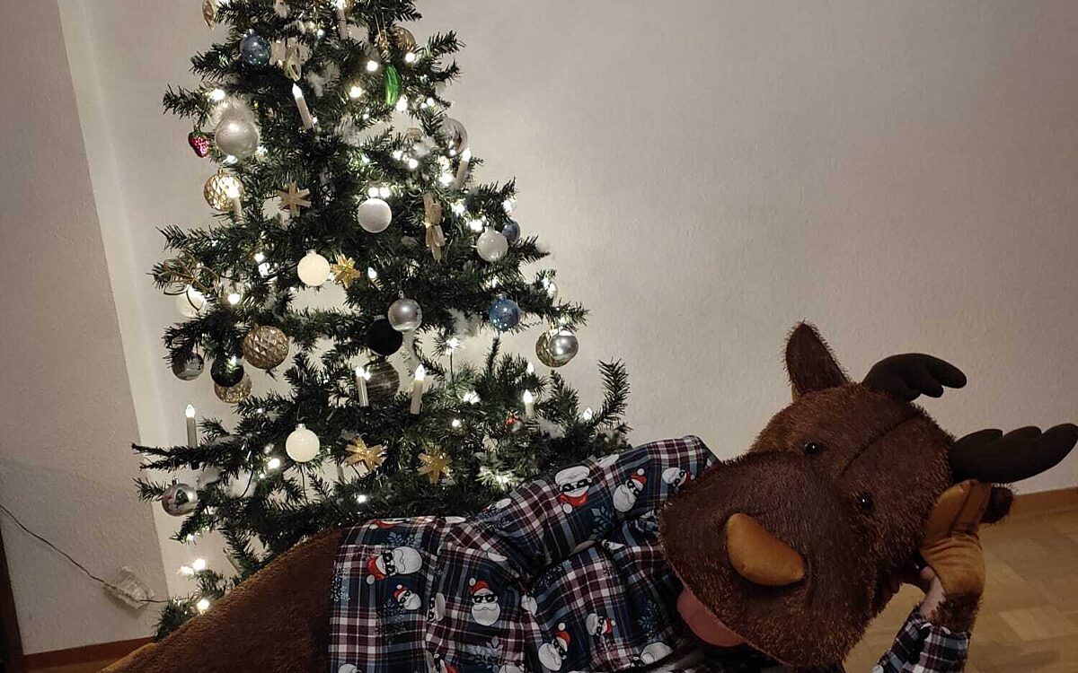 Andreas Zellner als Rentier Andreas Zellner als Rentier