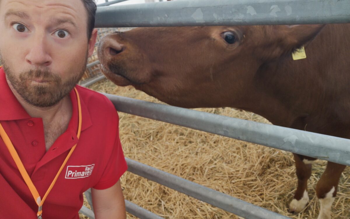 IMG 20220523 132641 IMG 20220523 132641