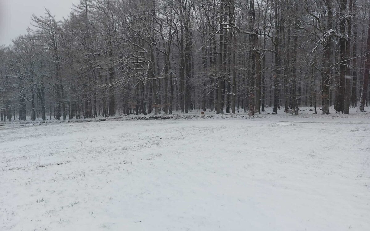 Schnee weibersbrunn Schnee weibersbrunn