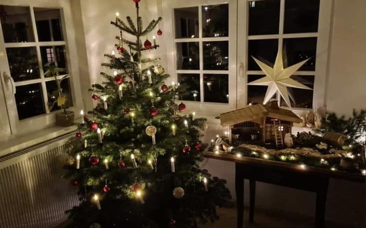 KW50 Weihnachtsbaeume 14 KW50 Weihnachtsbaeume 14