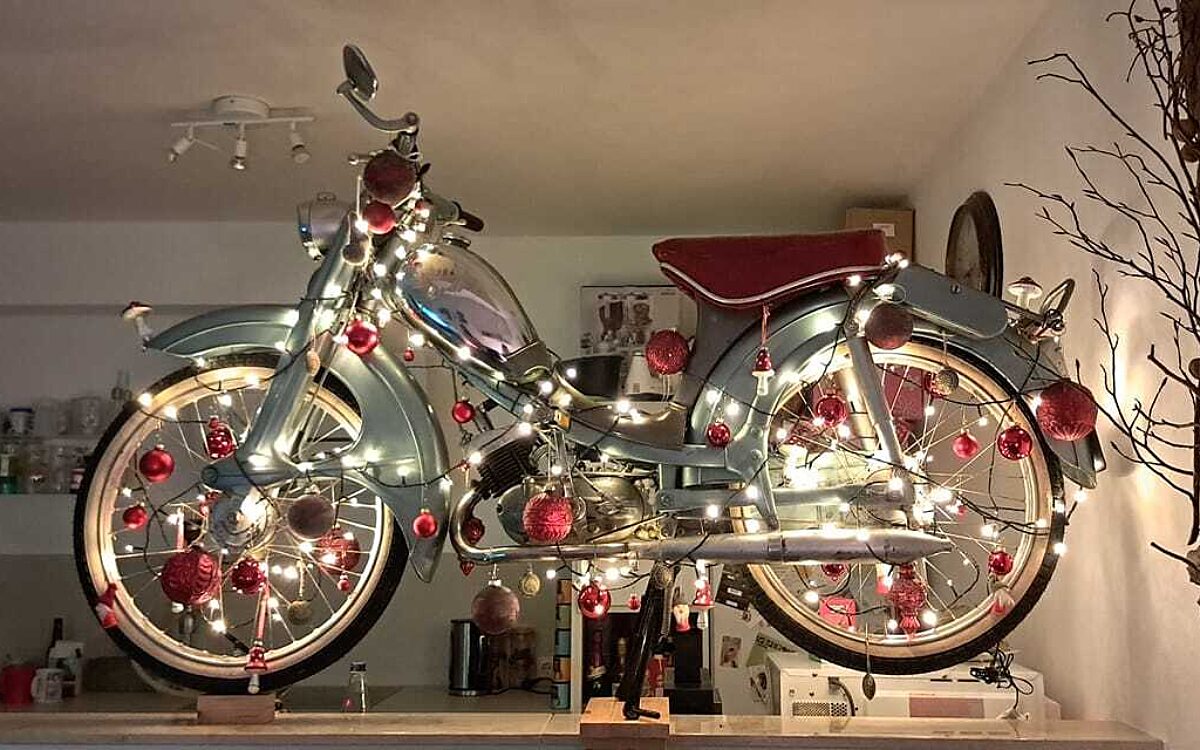 KW50 Weihnachtsbaeume 31 KW50 Weihnachtsbaeume 31