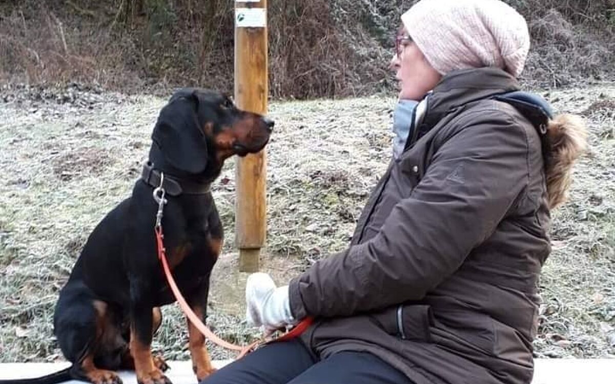 KW01 Hundekotdrama KW01 Hundekotdrama