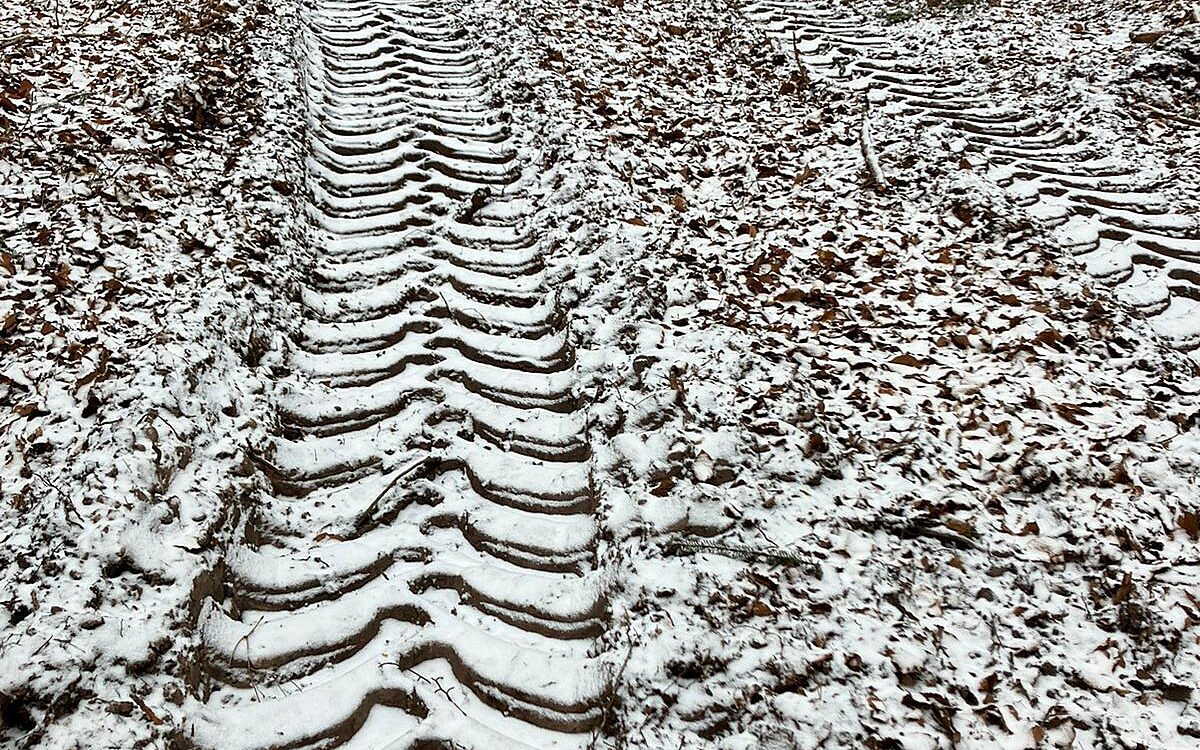 KW03 Gailbacher Wald 4 KW03 Gailbacher Wald 4