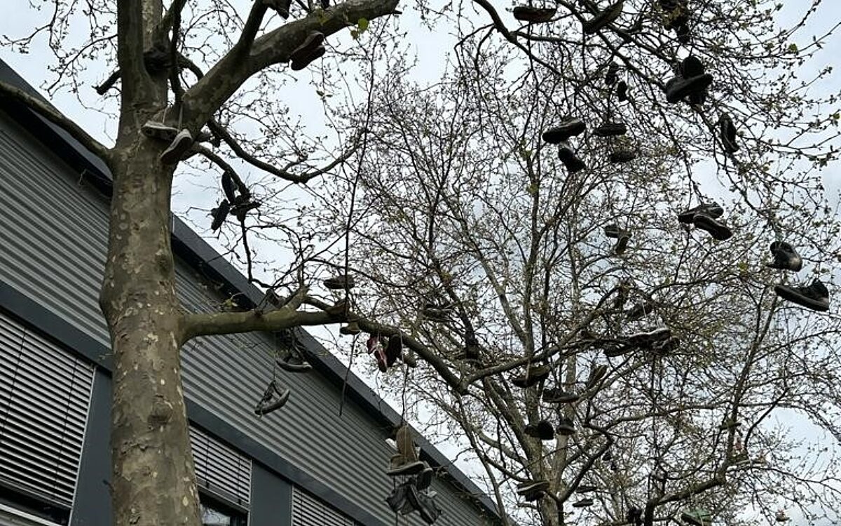 KW17 Leserreporter 2 KW17 Leserreporter 2