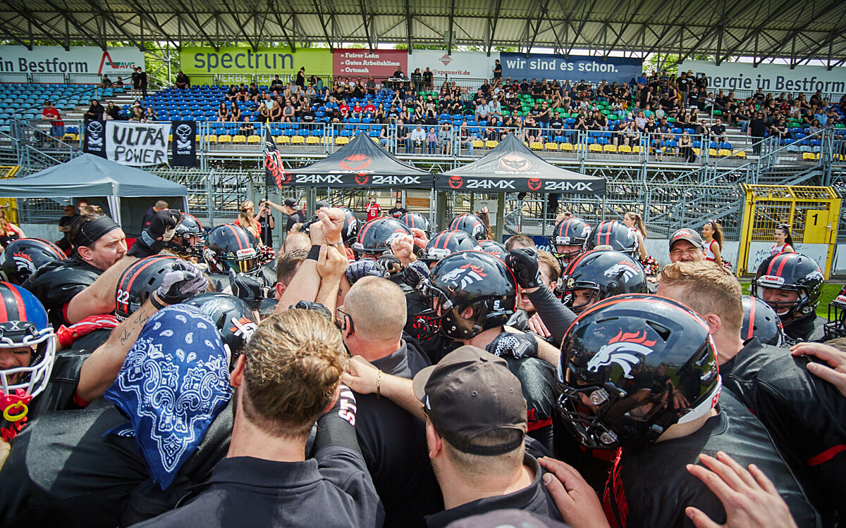 KW18 SPORT Stallions KW18 SPORT Stallions