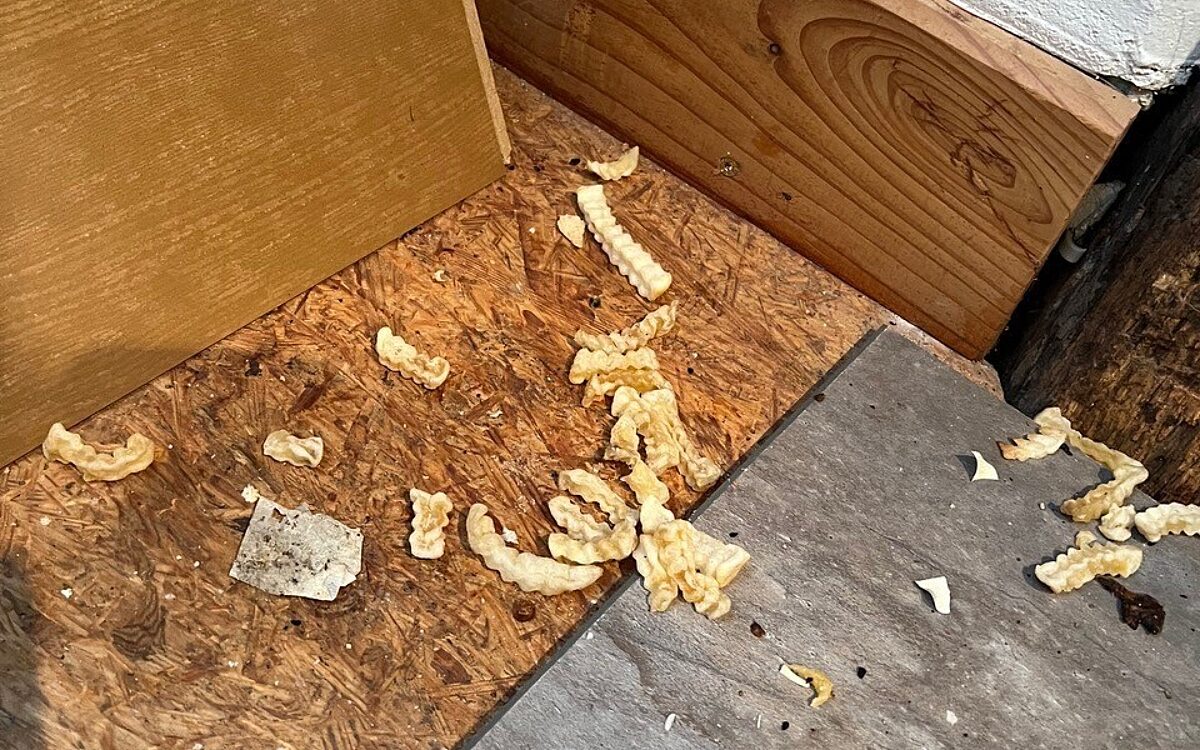 KW19 Mieter 3 KW19 Mieter 3