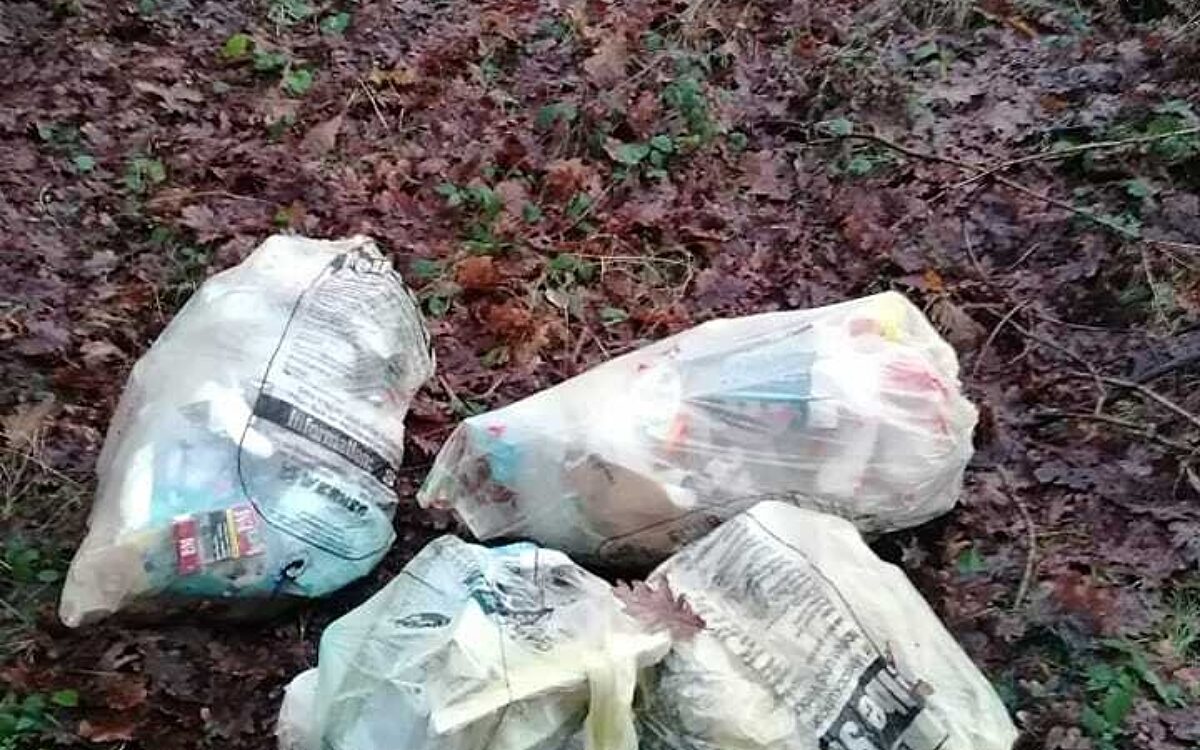 KW19 Muell 10 KW19 Muell 10