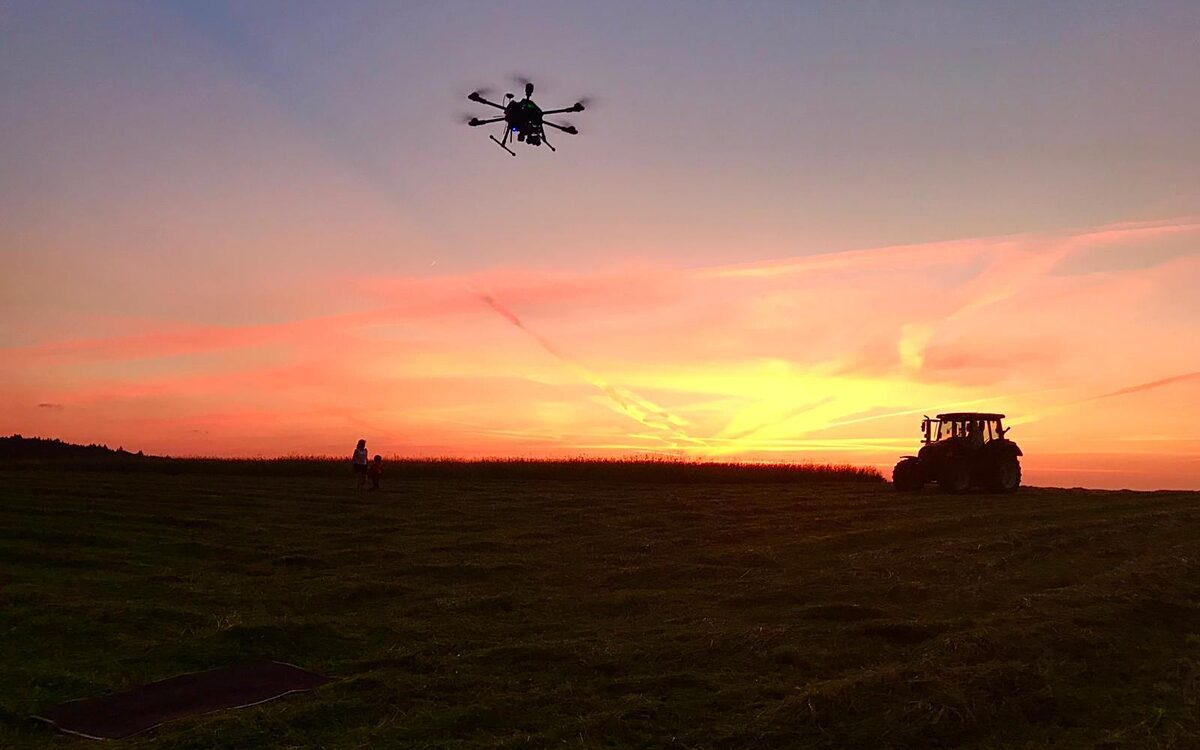 KW21 Rehkitze 9 KW21 Rehkitze 9