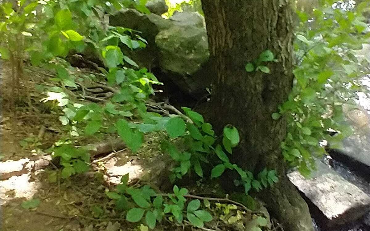 KW22 Hoesbach 1 KW22 Hoesbach 1