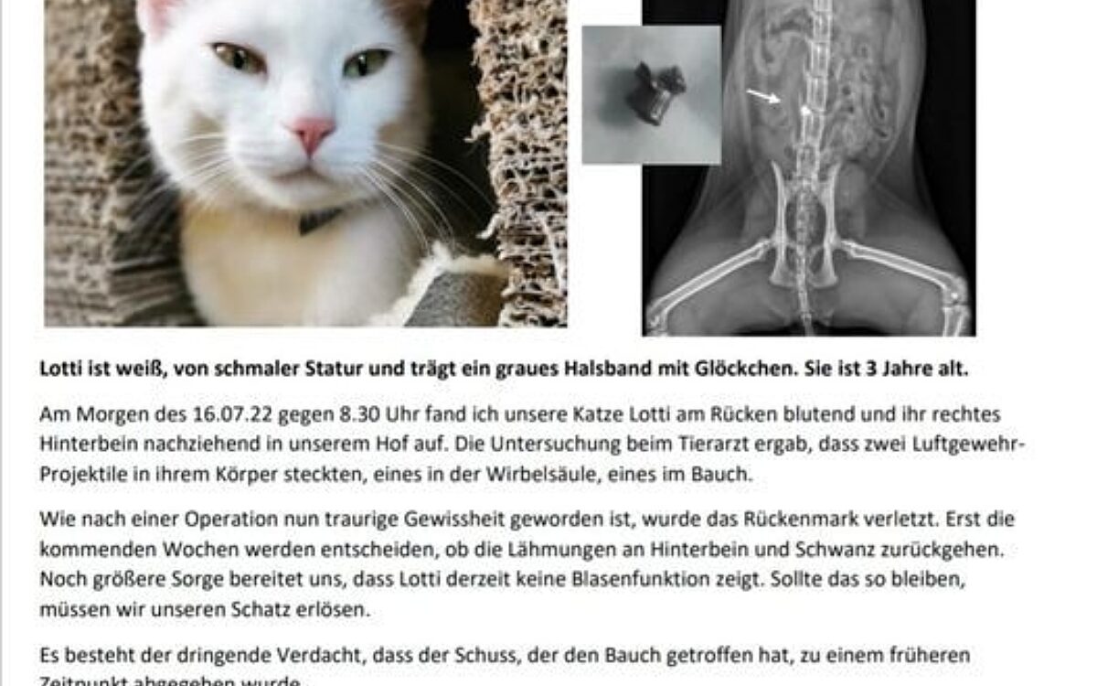 KW29 Lotti Aufruf KW29 Lotti Aufruf