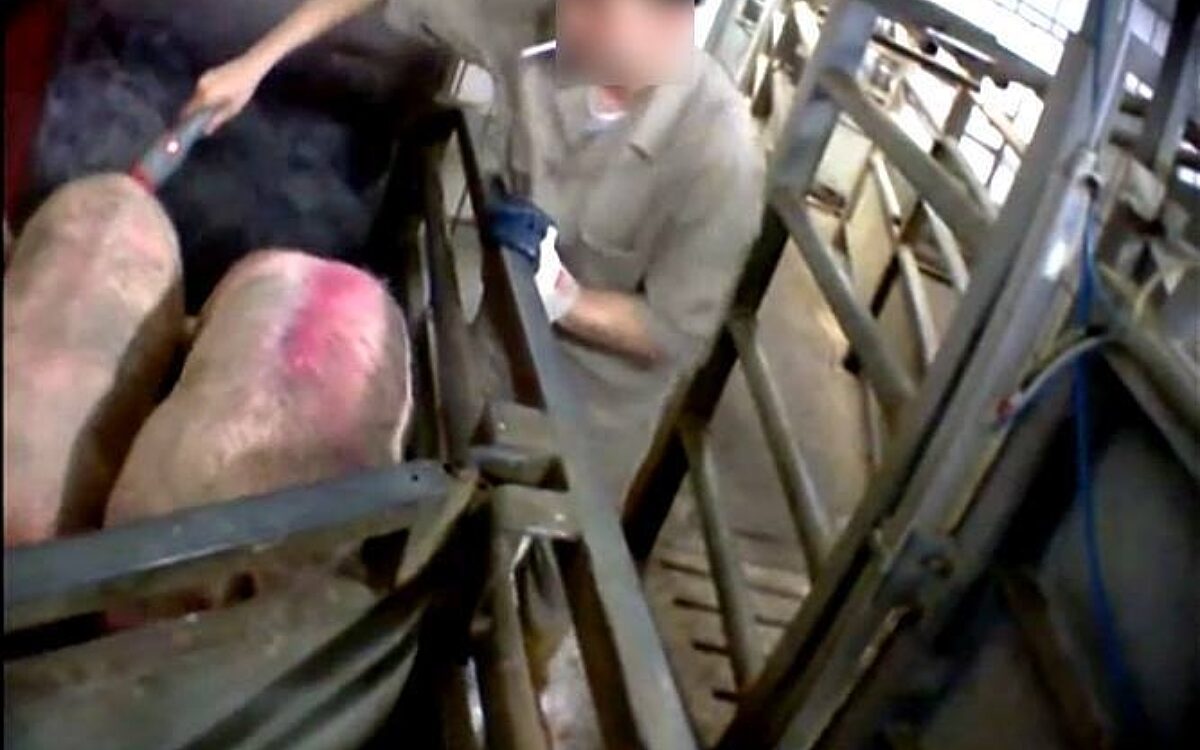 KW29 Schlachthof 12 KW29 Schlachthof 12