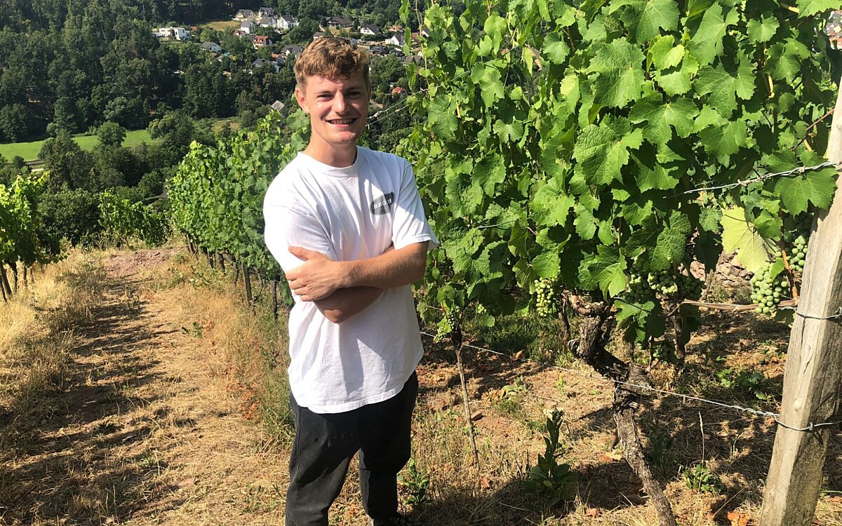 KW30 Wein 4 KW30 Wein 4