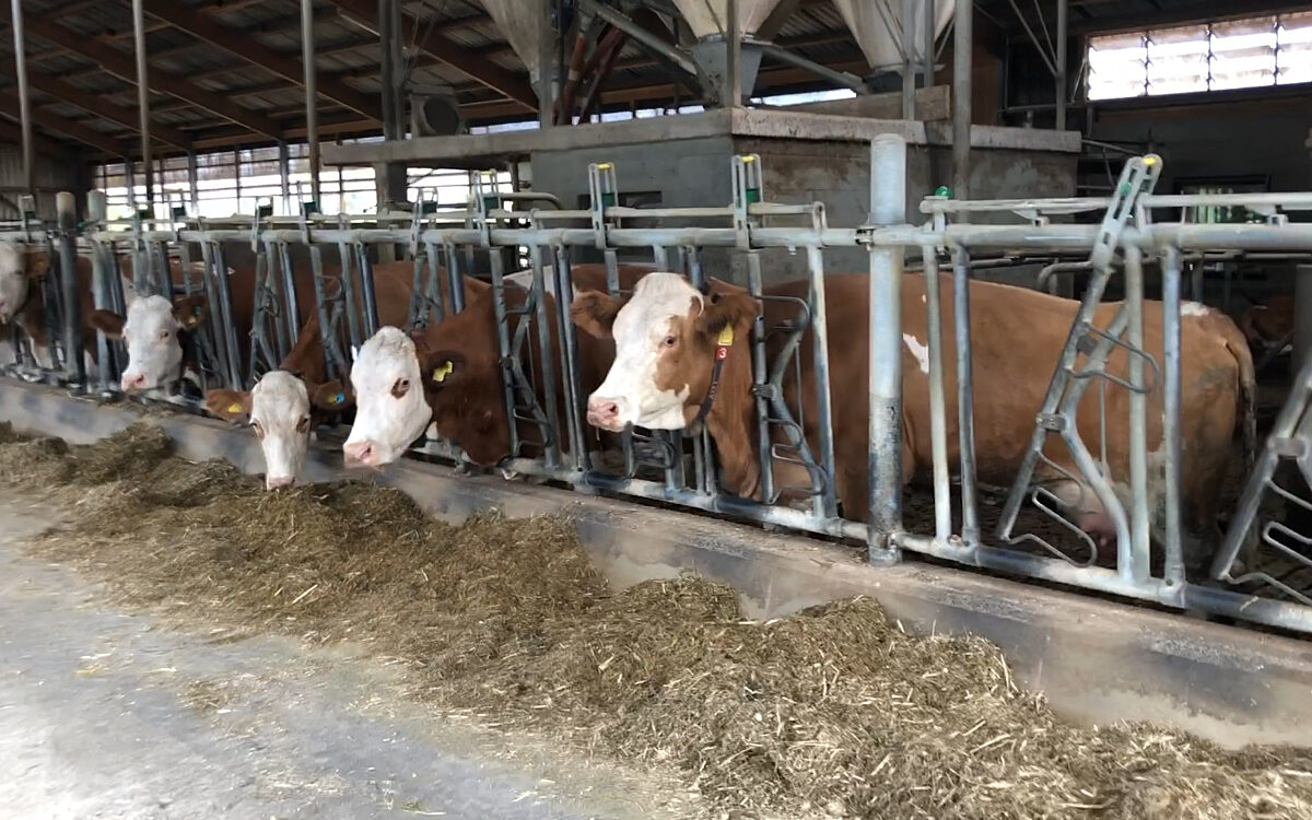 KW33 Furz 2 KW33 Furz 2