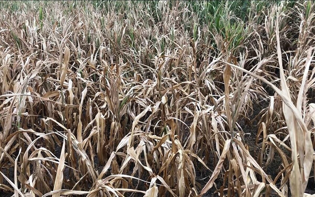 KW37 Klimawandel 2 KW37 Klimawandel 2