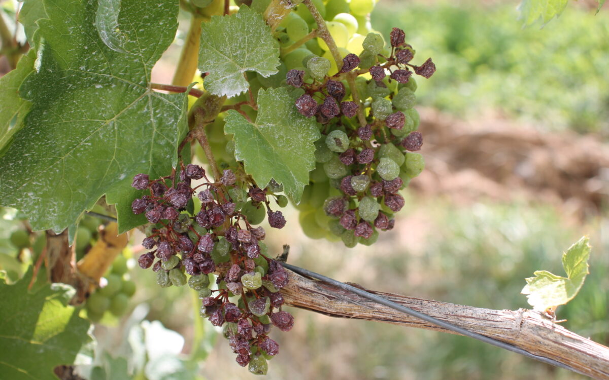 KW37 Klimawandel 3 KW37 Klimawandel 3