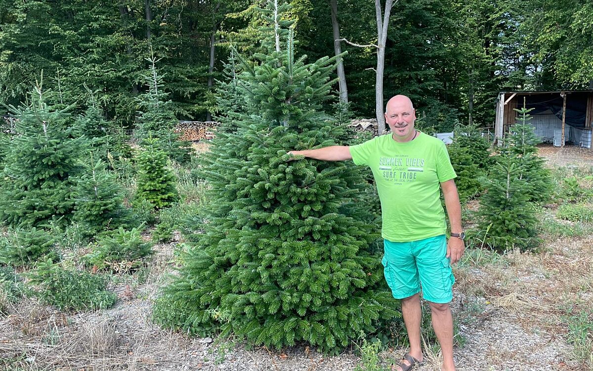 KW38 Weihnachten Baum1 KW38 Weihnachten Baum1