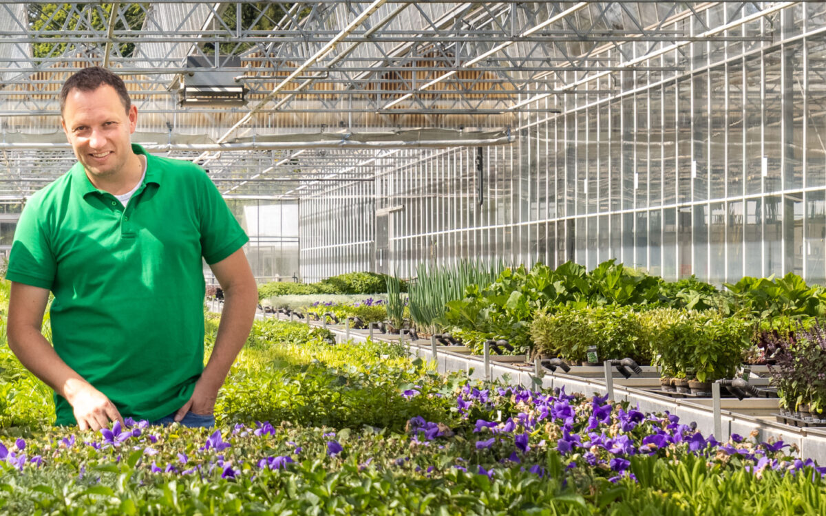 KW39 Kalter Winter Gaertnerei KW39 Kalter Winter Gaertnerei