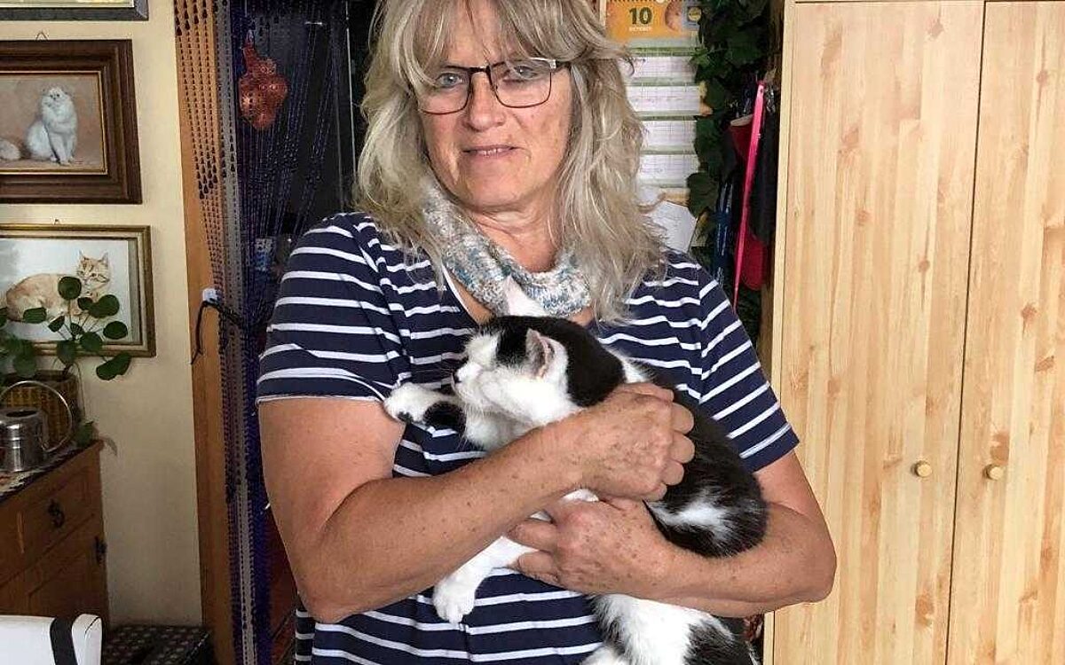 KW43 Katzen 2 KW43 Katzen 2