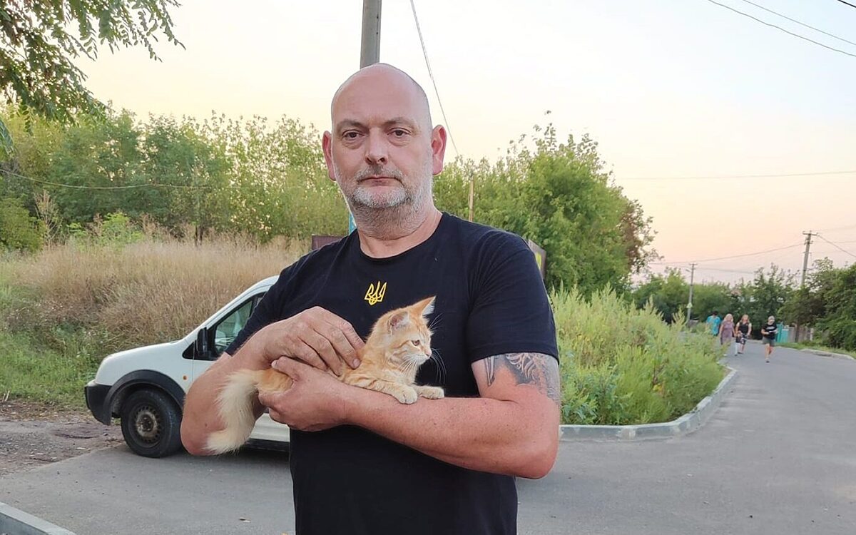 KW43 Katzen 3 KW43 Katzen 3