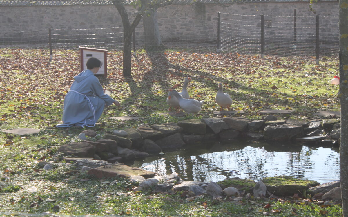 KW47 Kloster 4 KW47 Kloster 4