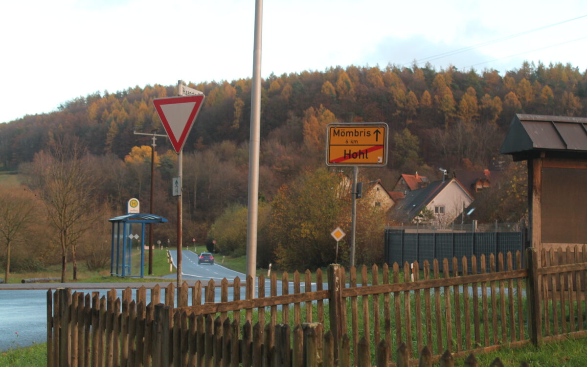 KW49 Weisse Flecken 2 KW49 Weisse Flecken 2