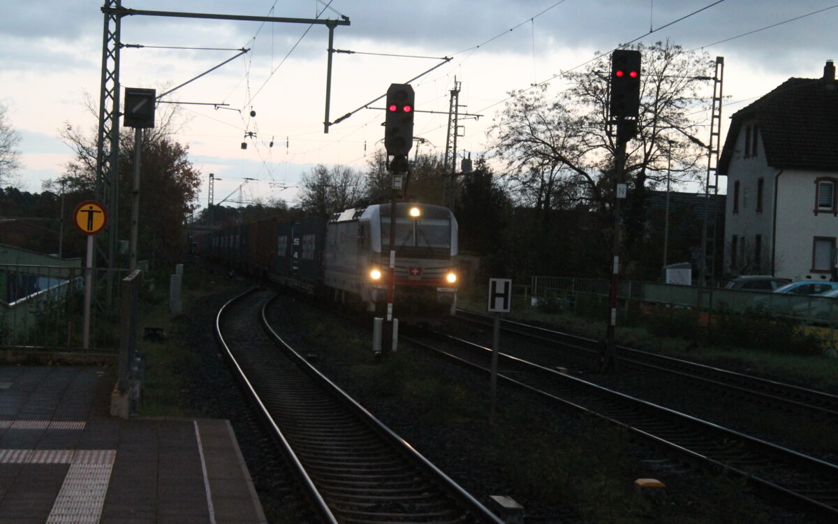 KW49 Weisse Flecken 4 KW49 Weisse Flecken 4