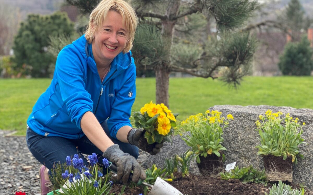 KW50 Hobbys Fehlner KW50 Hobbys Fehlner