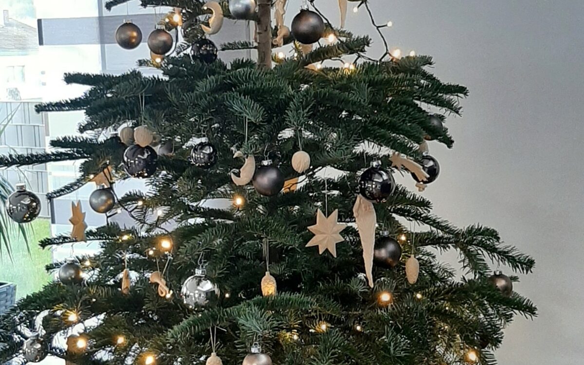 KW50 Weihnachtsbaeume Anja Fischer Grossheubach KW50 Weihnachtsbaeume Anja Fischer Grossheubach