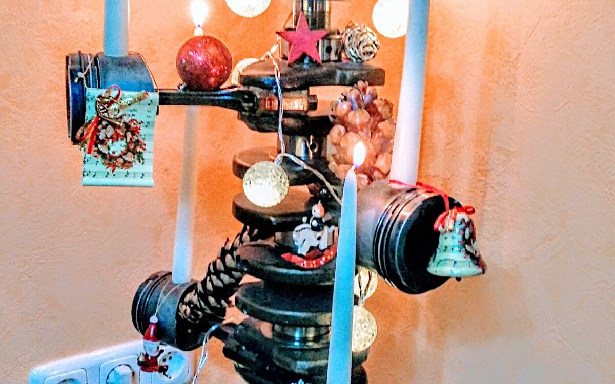 KW50 Weihnachtsbaeume Anjaund Thomas Schwind Schaafheim KW50 Weihnachtsbaeume Anjaund Thomas Schwind Schaafheim