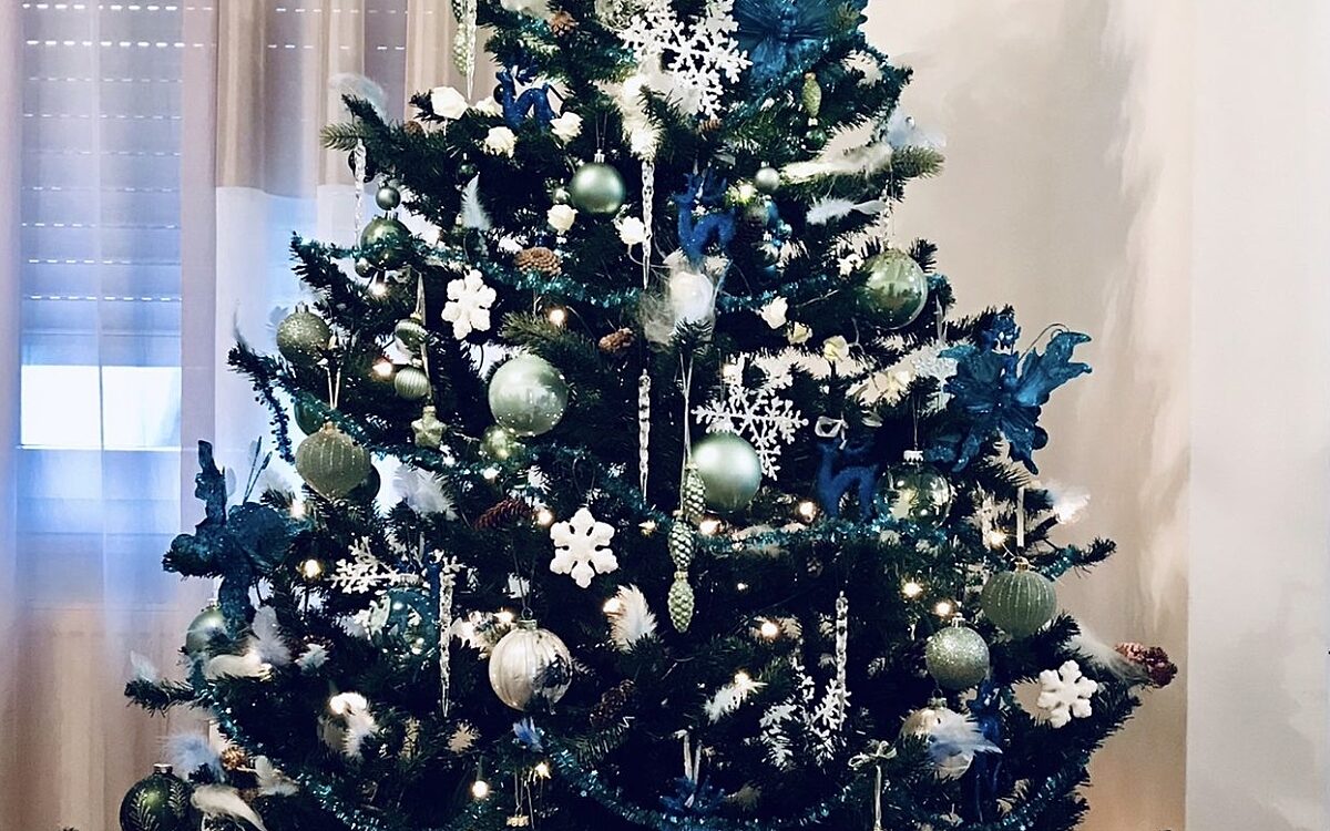 KW50 Weihnachtsbaeume Nicole Butschazki Hoesbach KW50 Weihnachtsbaeume Nicole Butschazki Hoesbach