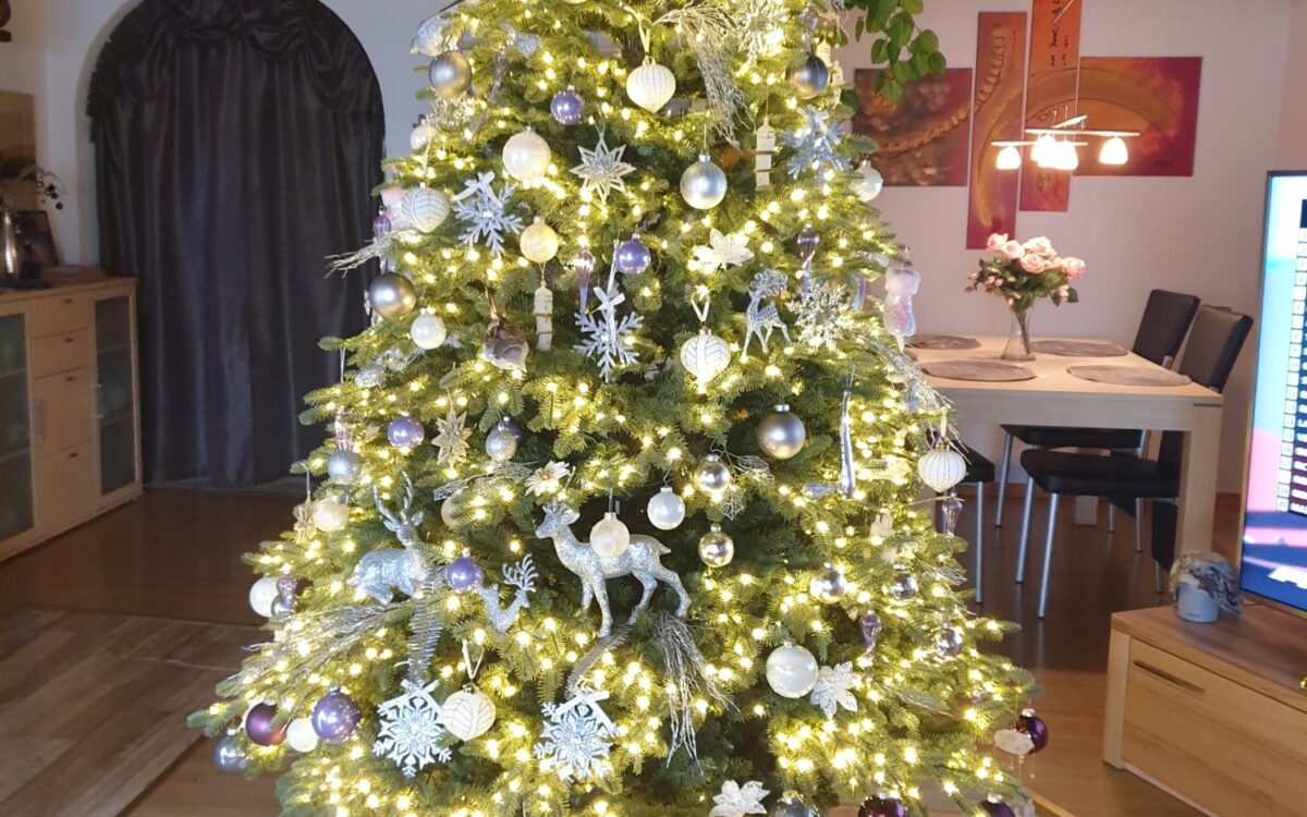 KW50 Weihnachtsbaeume Therese Weber Aschaffenburg KW50 Weihnachtsbaeume Therese Weber Aschaffenburg