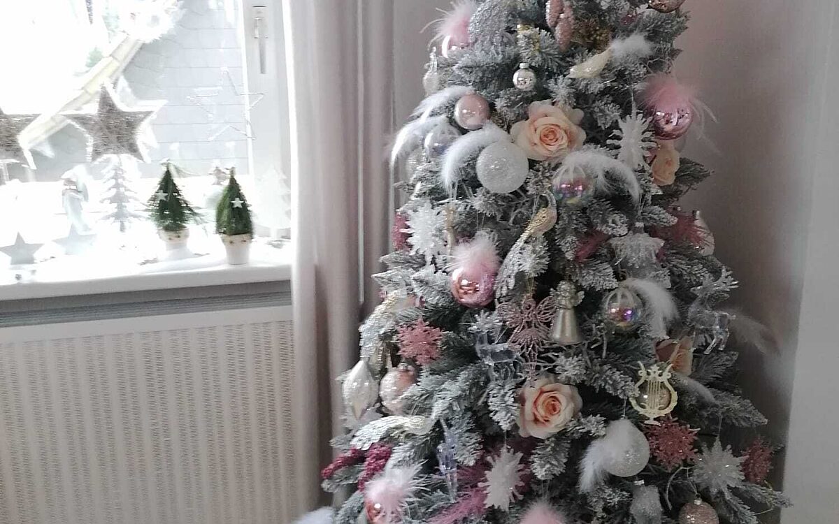 KW50 Weihnachtsbaeume Waltraud Haehnchen Niedernberg KW50 Weihnachtsbaeume Waltraud Haehnchen Niedernberg