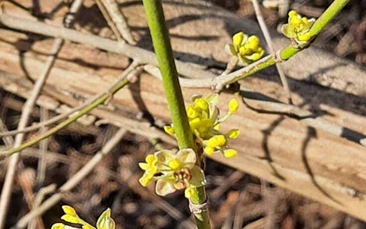 Lichtblicke Kersin aus Mainhausen beim Spatzierengehen Lichtblicke Kersin aus Mainhausen beim Spatzierengehen