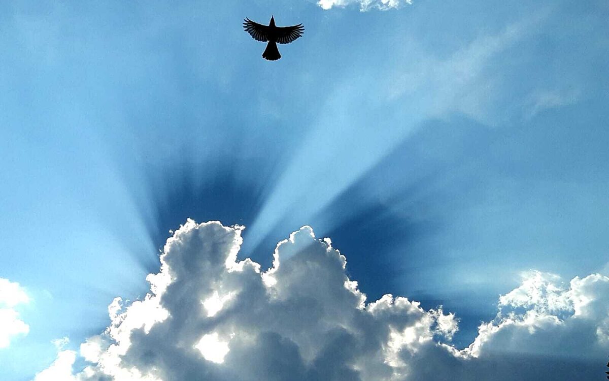 Lichtblicke Sabine Weibersbrunn Lichtblicke Sabine Weibersbrunn