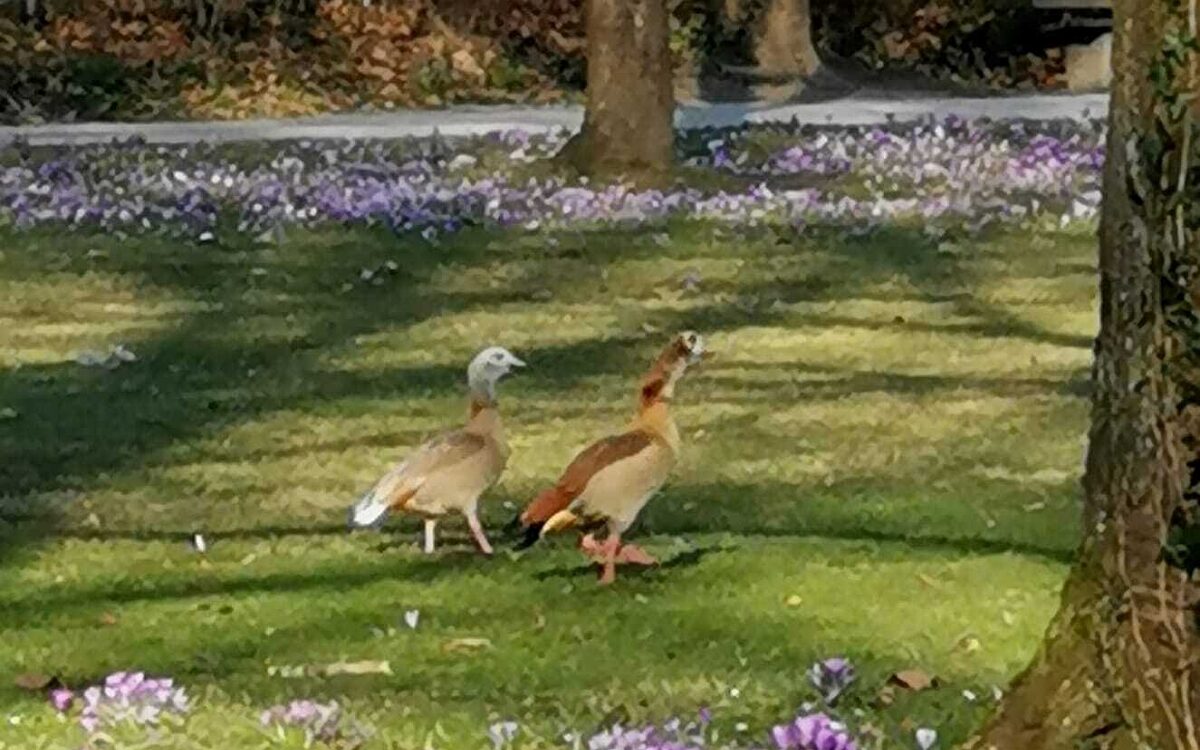 Lichtblicke Schoental 2 Lichtblicke Schoental 2