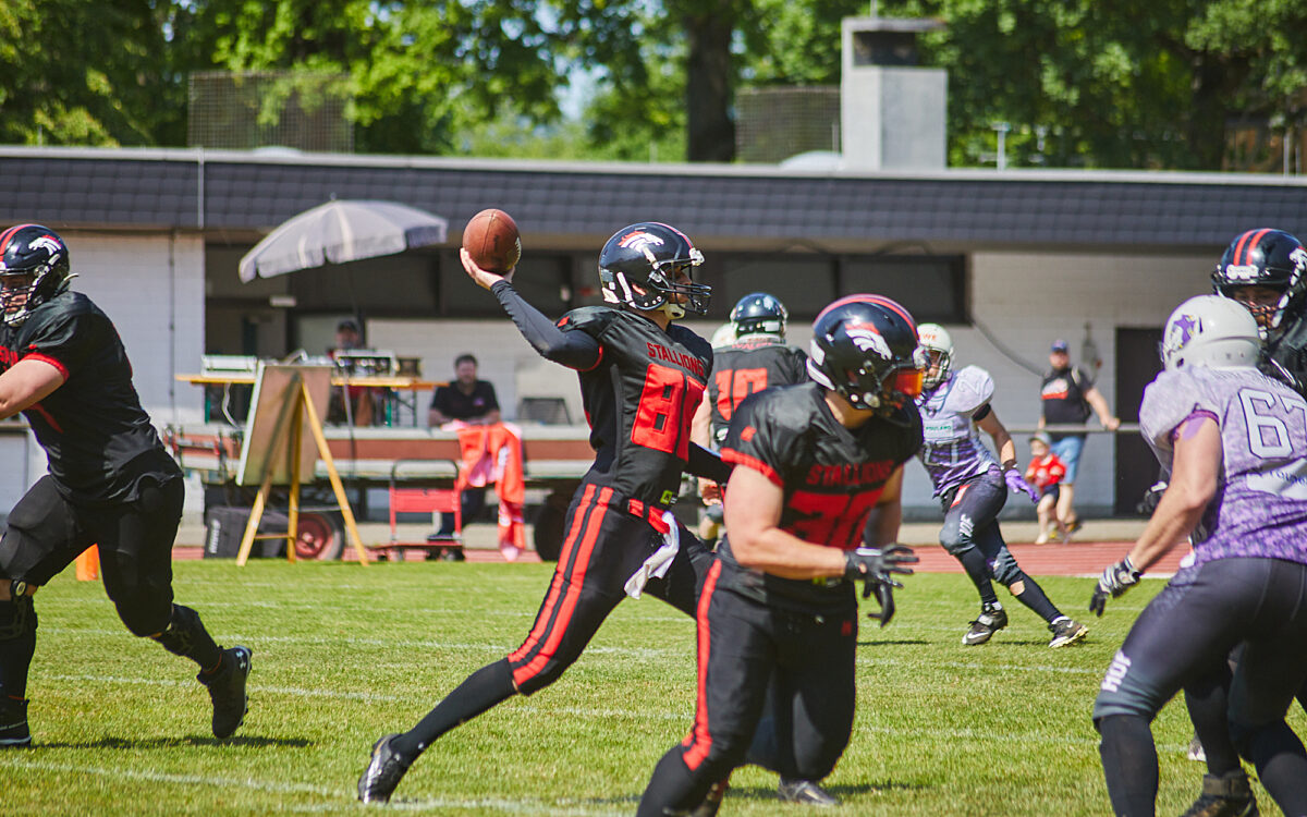 STAB 280523 432 STAB 280523 432