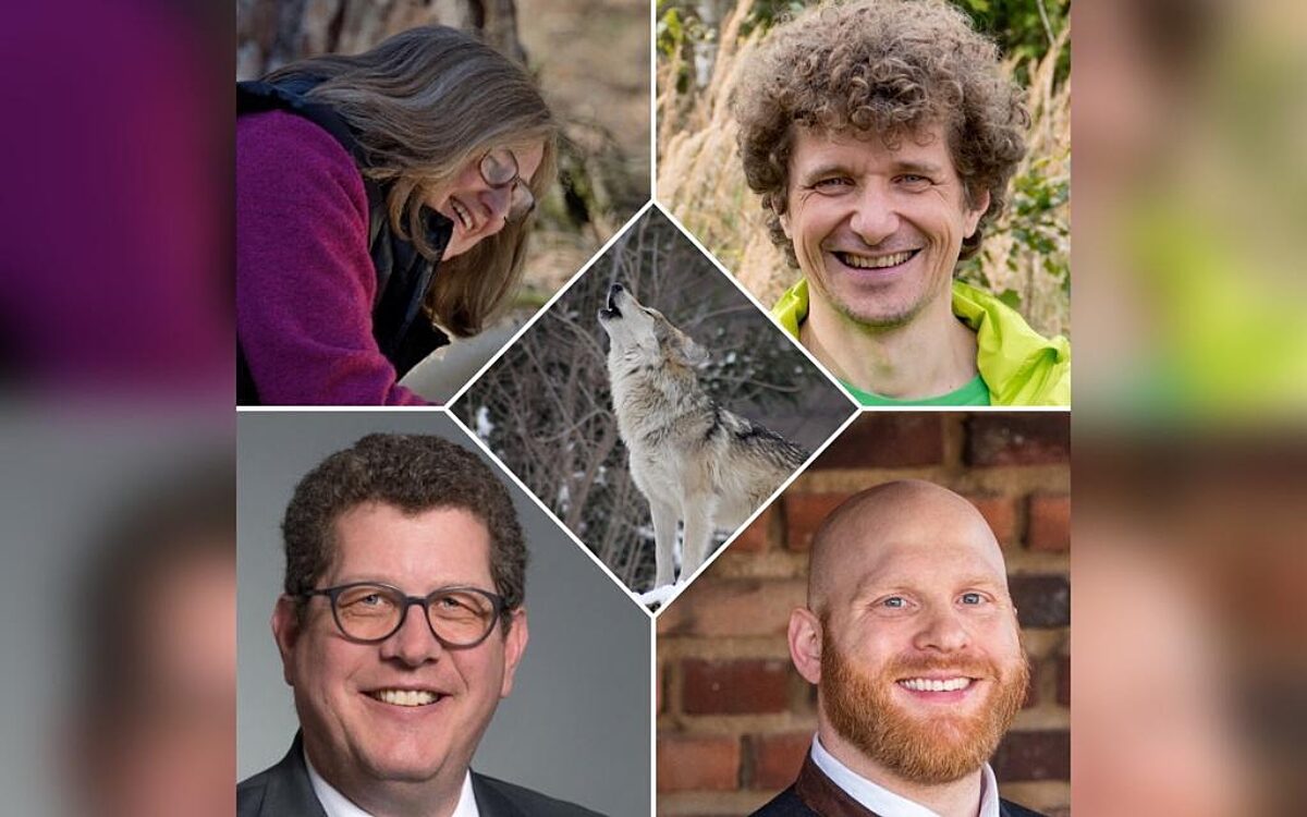 Wolf Titel Wolf Titel