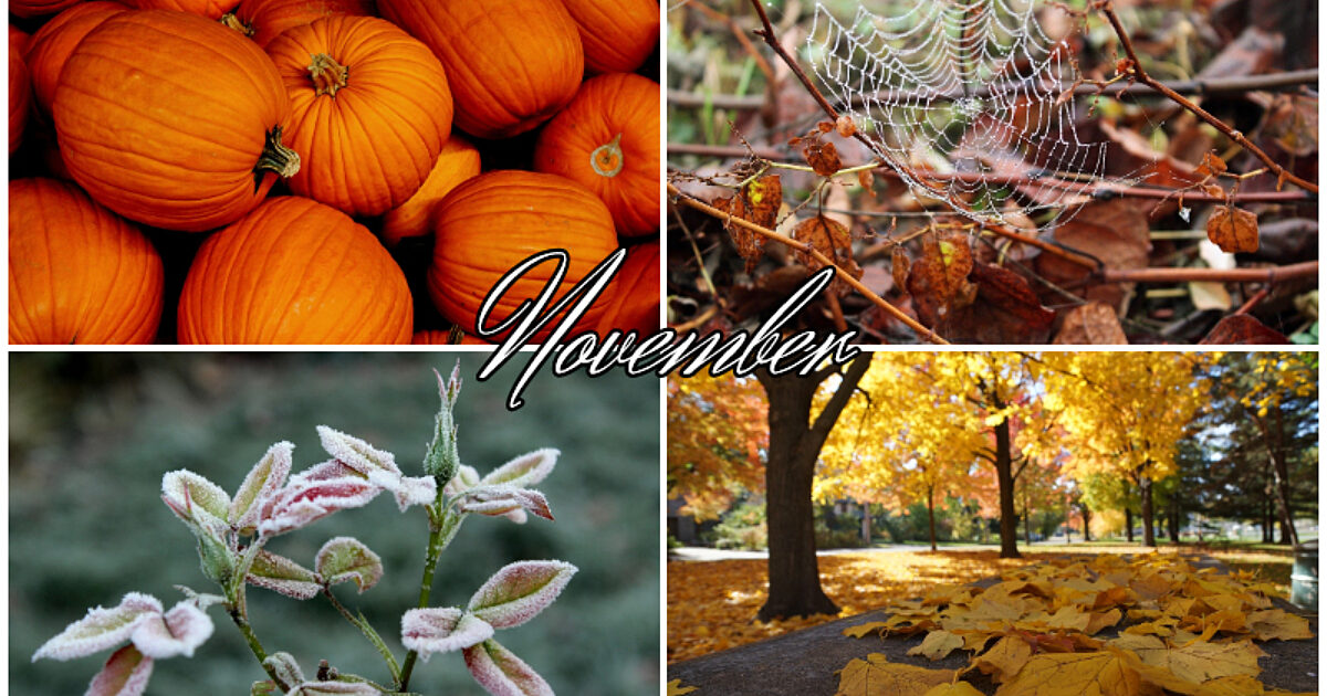 November Im Veranstaltungstipps im November
