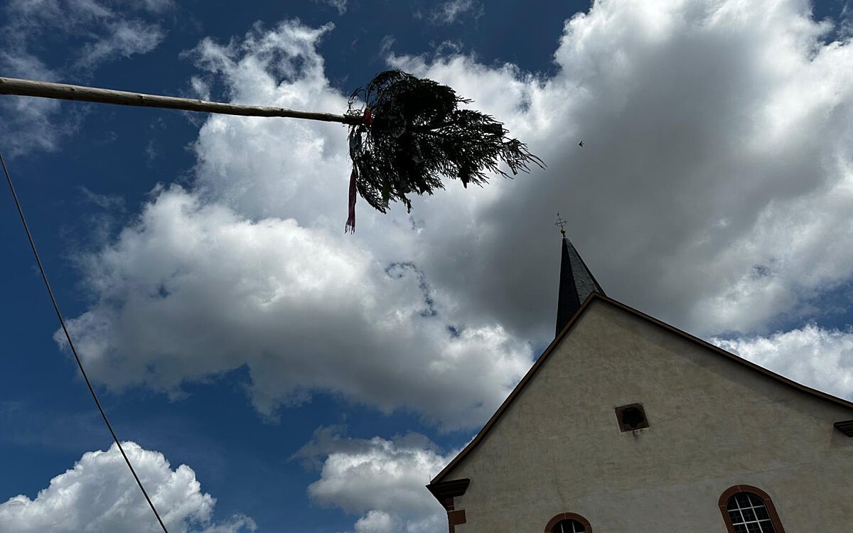 020825 Altenhasslau Strassenkerb 32 020825 Altenhasslau Strassenkerb 32