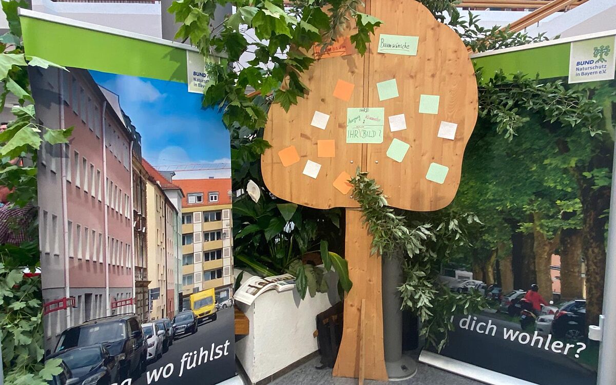 040624 ALZ Baeume KH 1 040624 ALZ Baeume KH 1