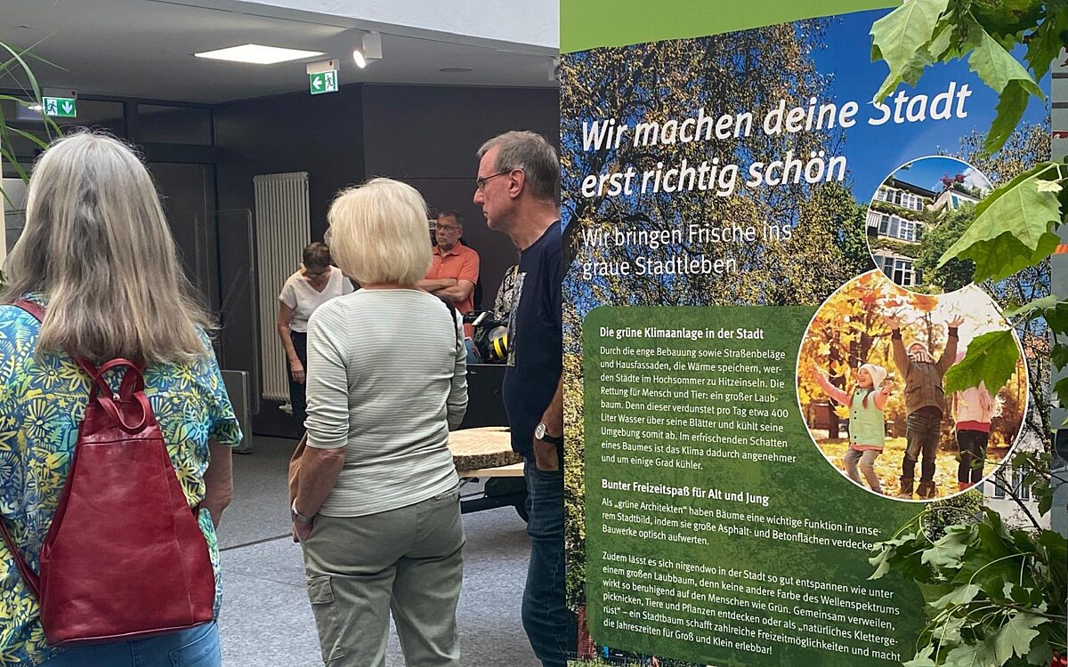 040624 ALZ Baeume KH 4 040624 ALZ Baeume KH 4