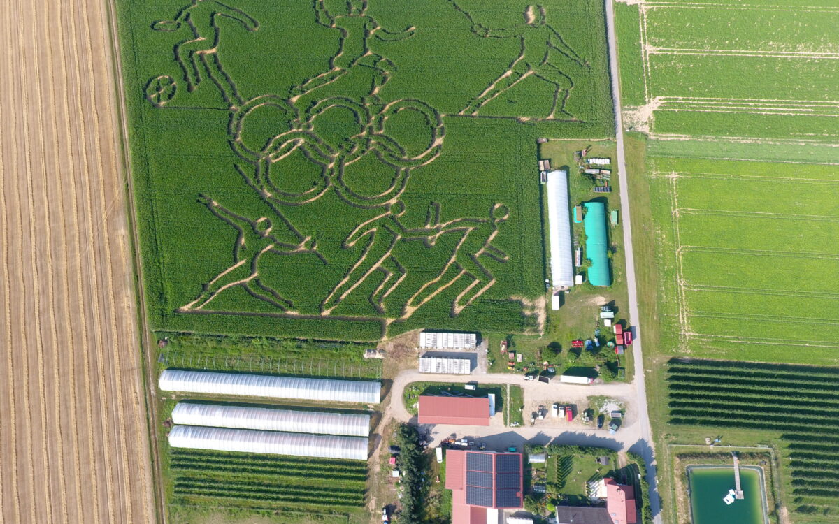 070824 Maislabyrinth ML 2 070824 Maislabyrinth ML 2