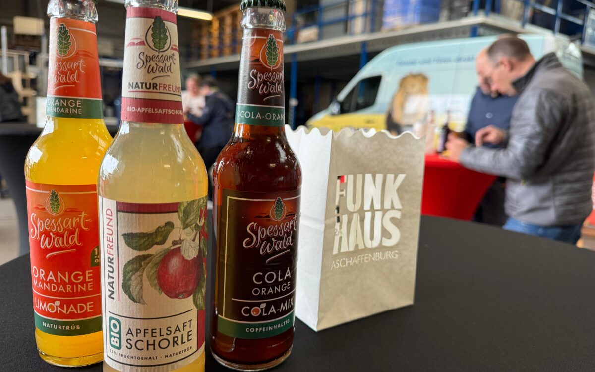 081024 Tag 1 Loewe Fenster 7 081024 Tag 1 Loewe Fenster 7