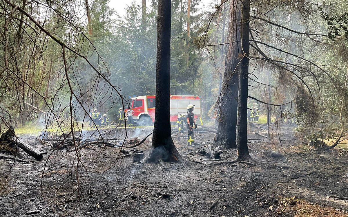 100722 Heusenstamm Waldbrand 100722 Heusenstamm Waldbrand