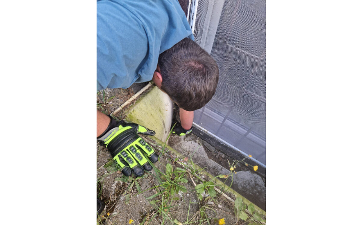 140724 Entenrettung Grossostheim 4 140724 Entenrettung Grossostheim 4