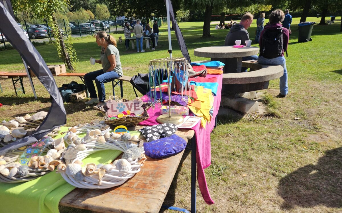 20240915 145817 20240915 145817