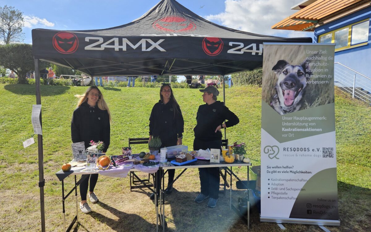 20240915 145822 20240915 145822