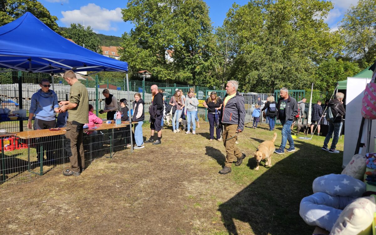 20240915 145825 20240915 145825