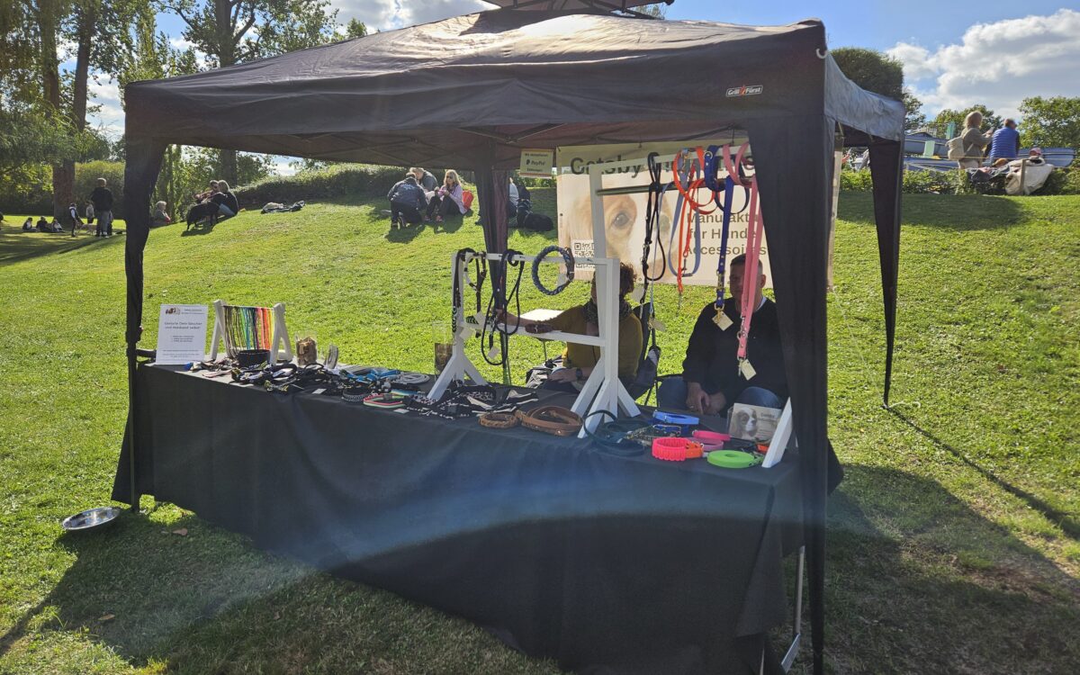 20240915 145833 20240915 145833