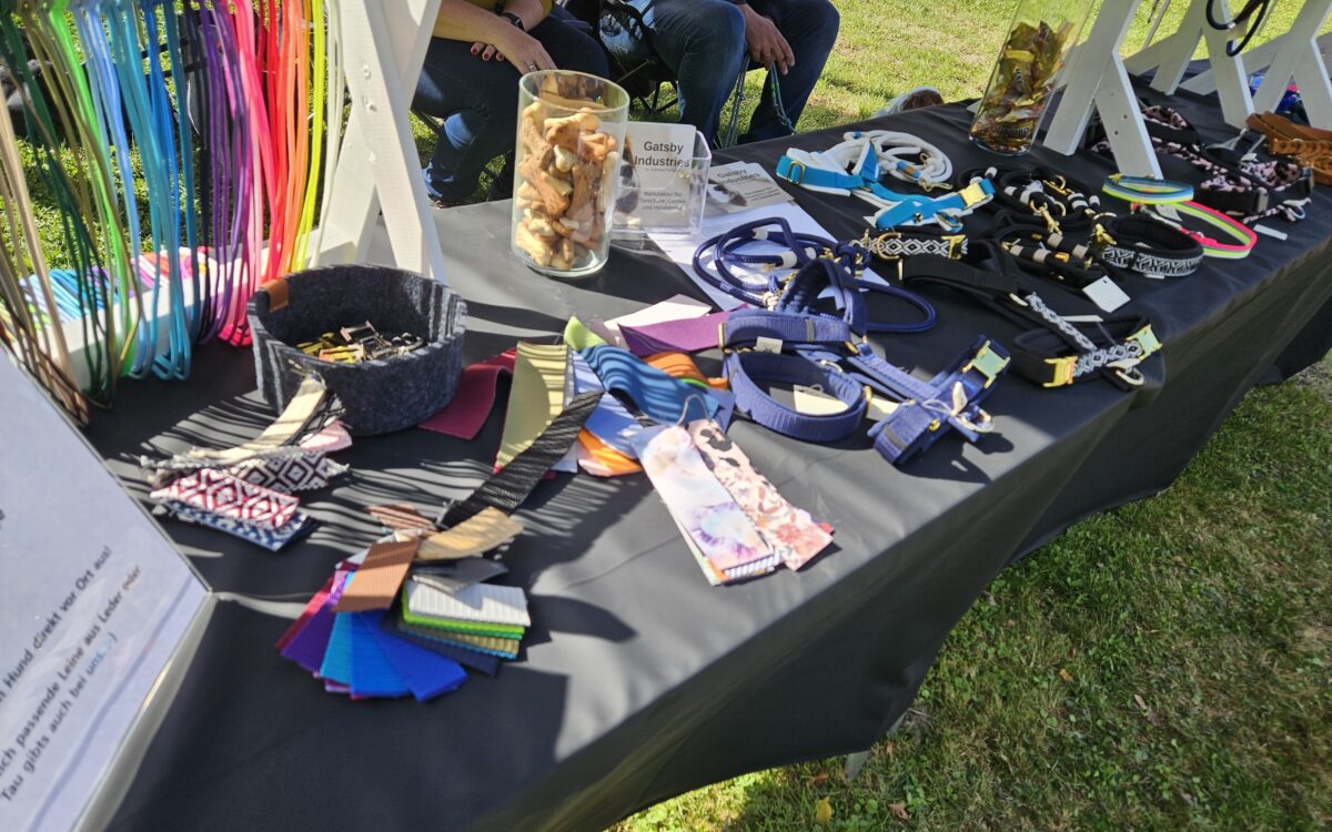 20240915 145838 20240915 145838